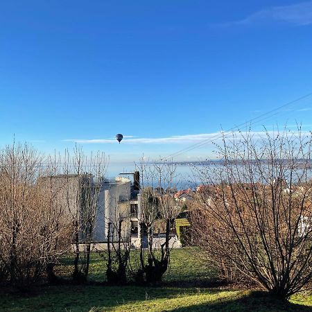 Villa Mit Traumhaftem Blick Uber Den Bodensee 布雷根茨 外观 照片