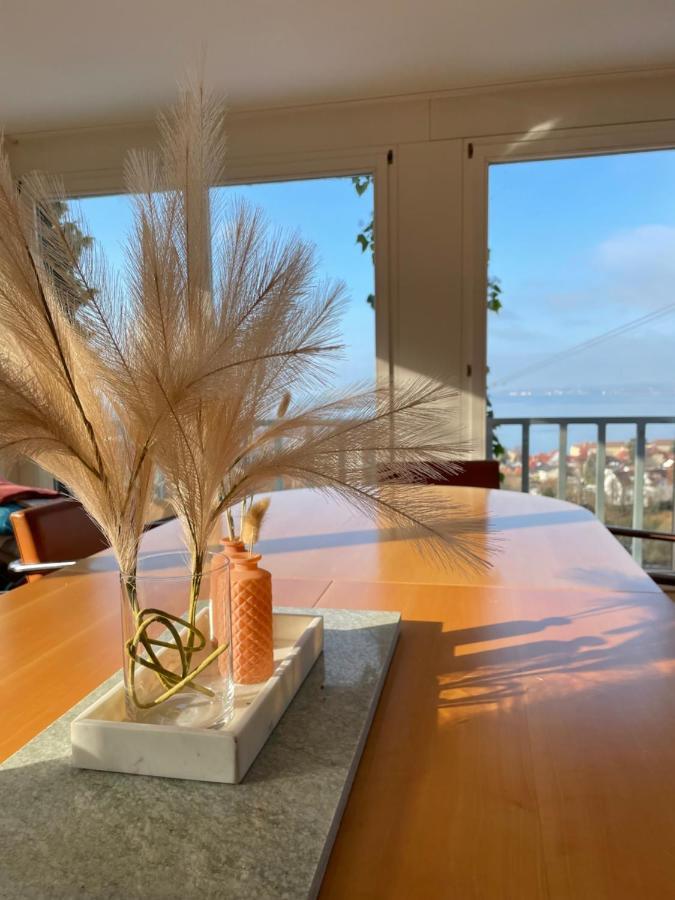 Villa Mit Traumhaftem Blick Uber Den Bodensee 布雷根茨 外观 照片